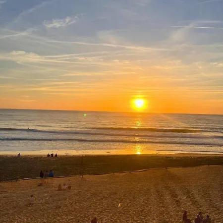 Oceanides - Agreable Des Oceanides *